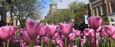 https_tuliptime.harmonycms.comassetsVisit-2