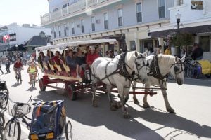 horse drawn carriage