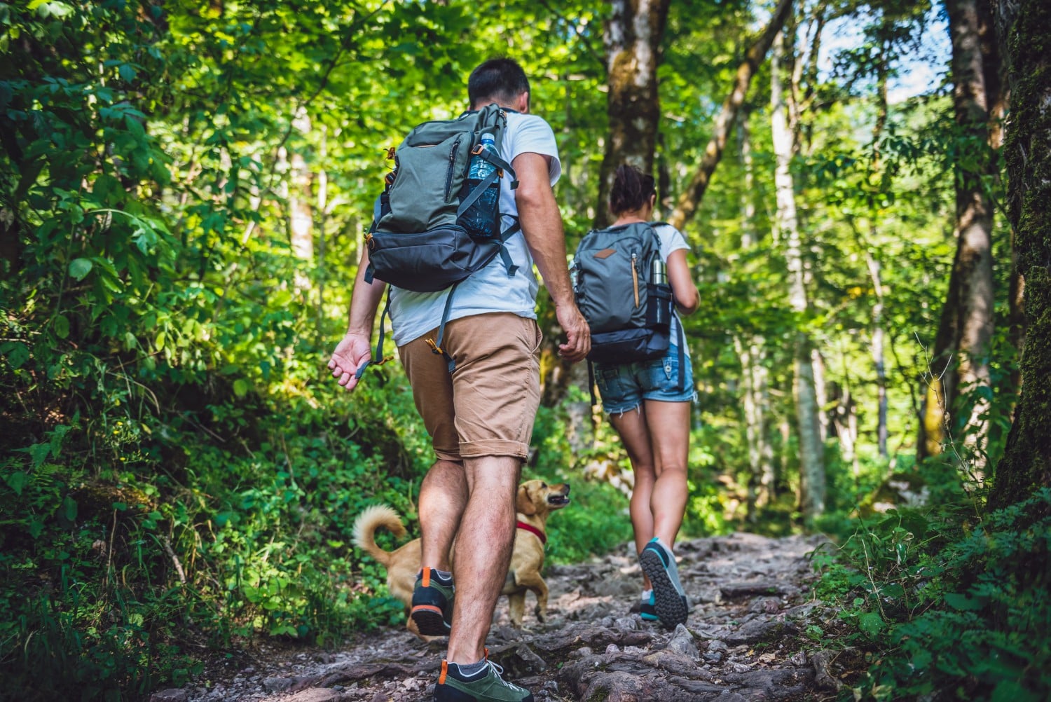 Couple with a small yellow dog hiking in forest