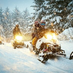 three snowmobiles riding through the woods