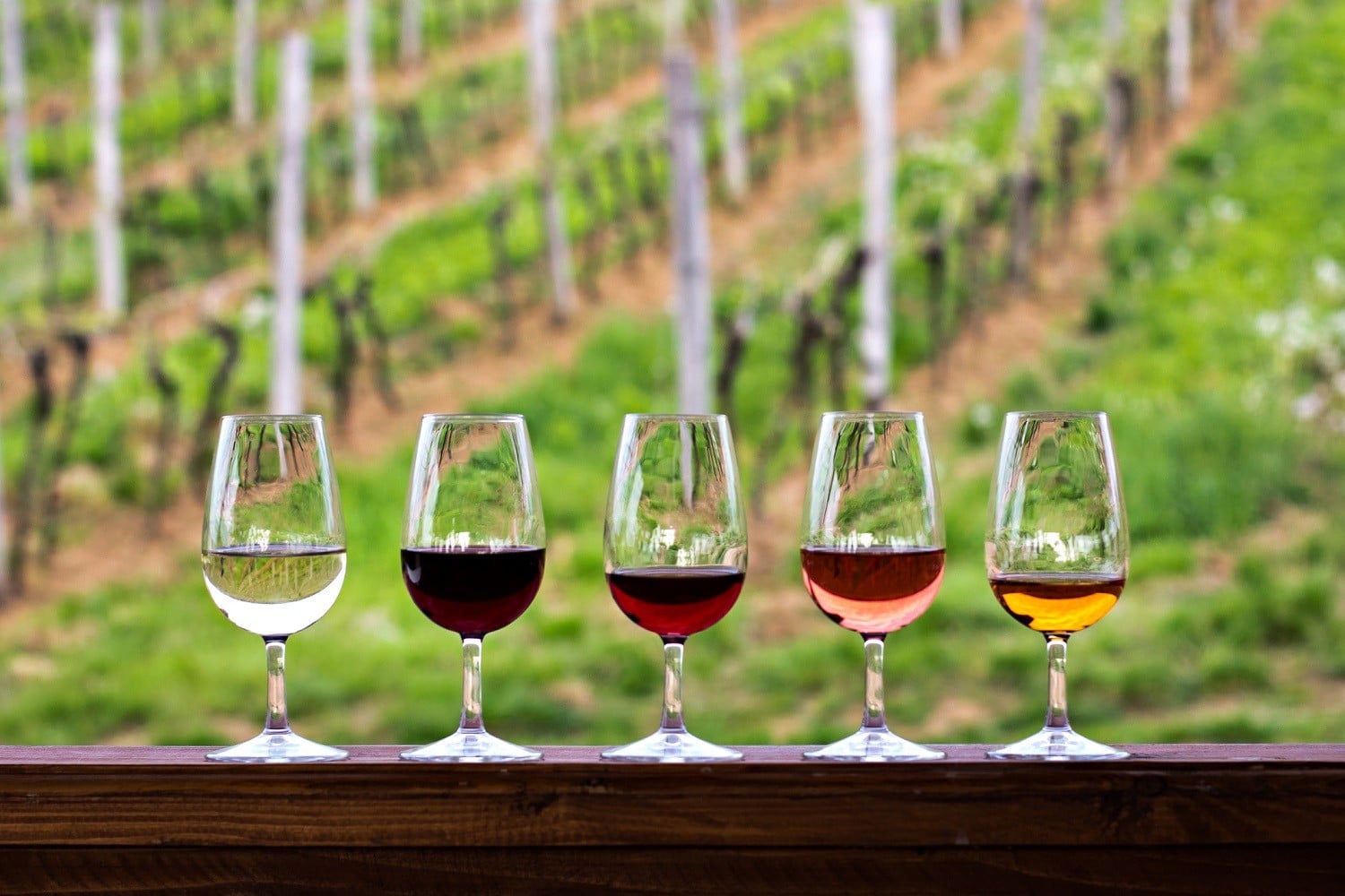 wine glasses lined up on a bar