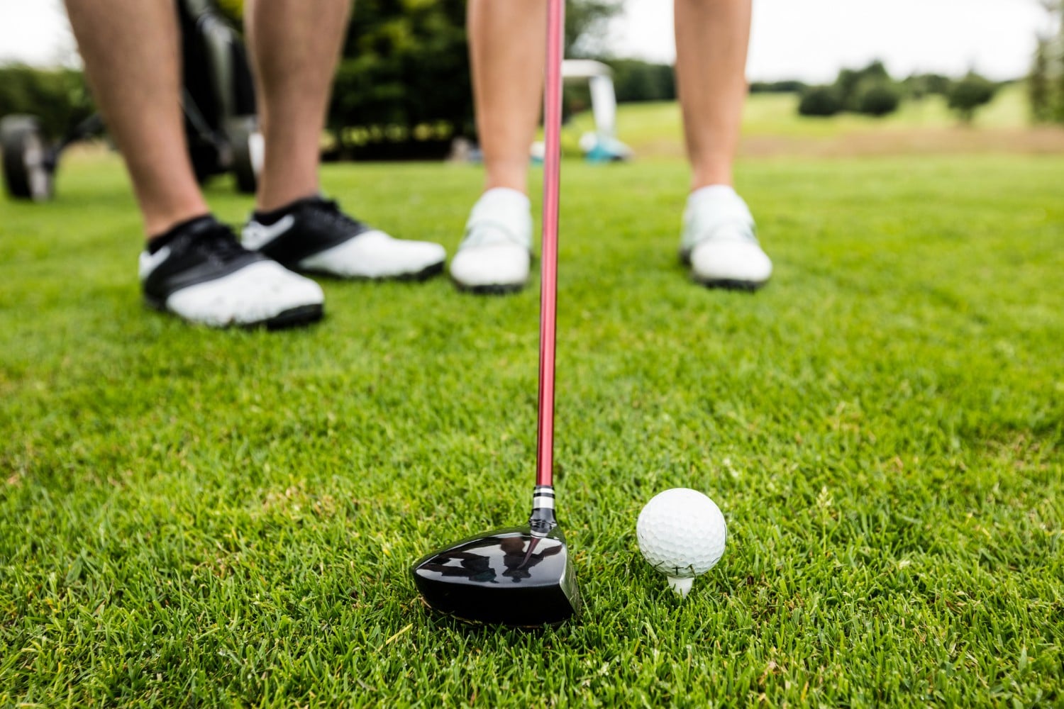 two people golfing