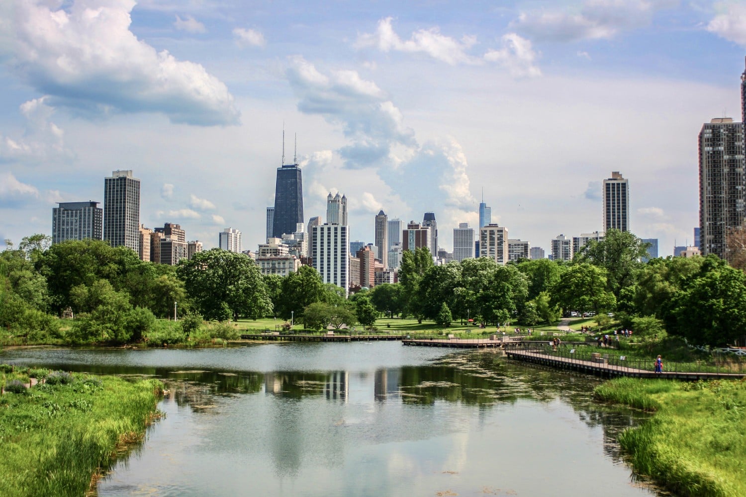 Downtown Chicago Skyline