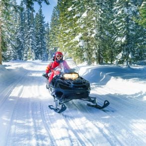 snowmobiling through the woods in Michigan