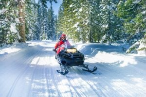 snowmobiling through the woods in Michigan