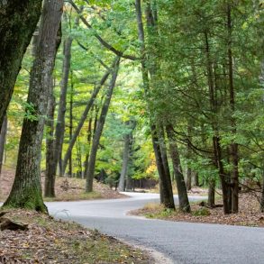 A winding road in a West Michigan State Park