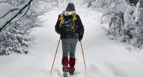 Man trudging through a snow covered trail on skis in West Michigan