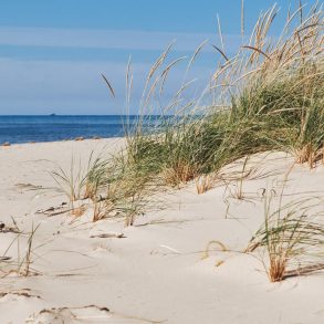 A beach in Eastern Michigan on a sunny day