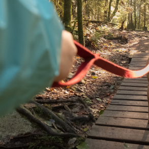pet-friendly activities in Michigan, do on leash on trail