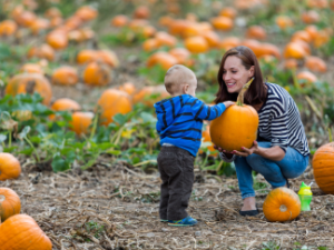 woman and toddler picking a pumpkin