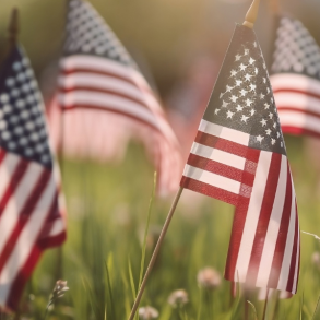American flags in grassy meadow