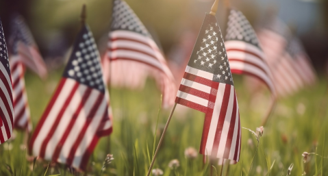 American flags in grassy meadow