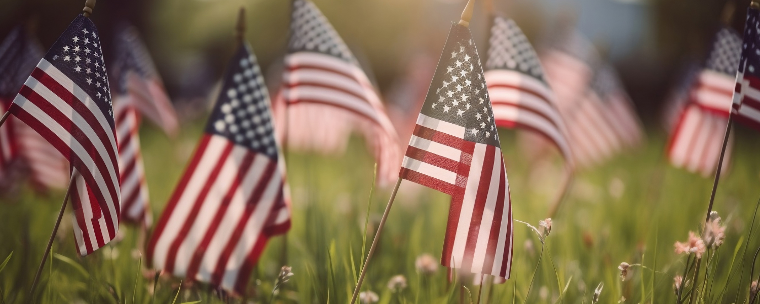 American flags in grassy meadow