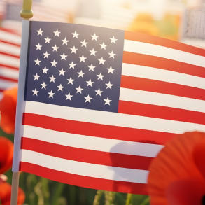 usa flags surrounded by poppies