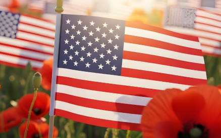usa flags surrounded by poppies