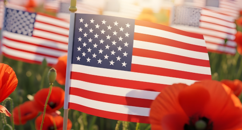usa flags surrounded by poppies