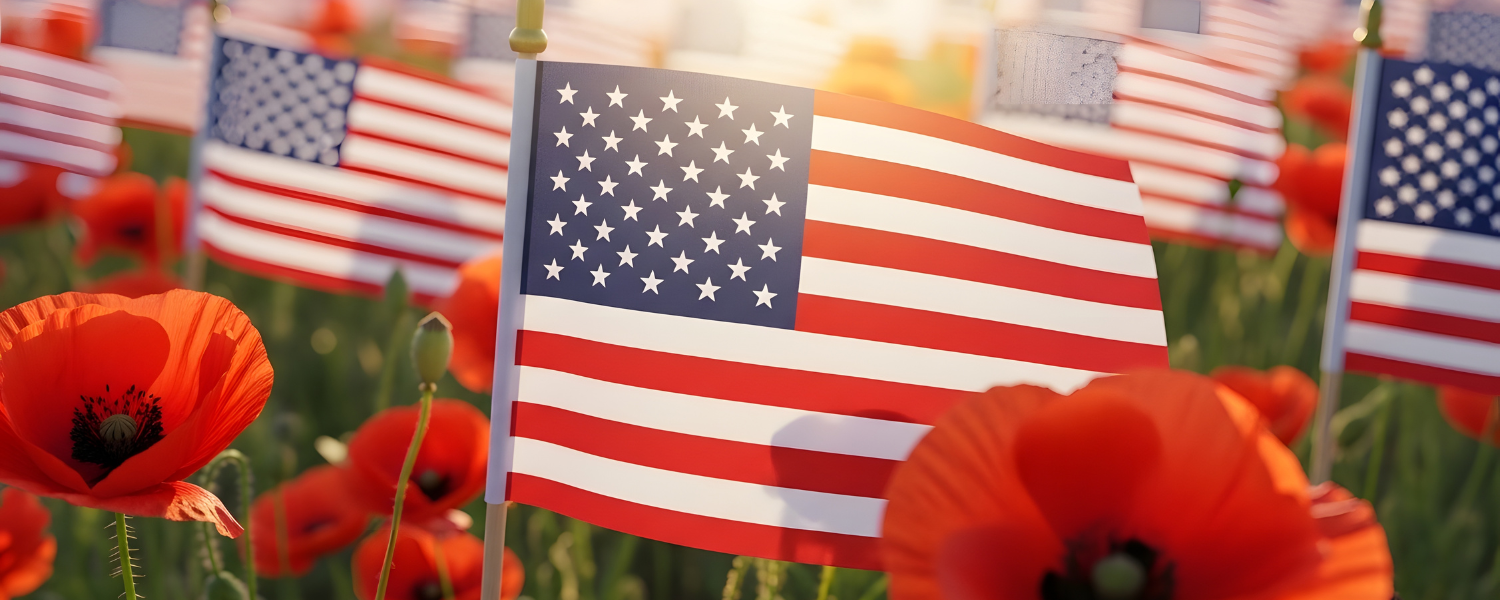 usa flags surrounded by poppies