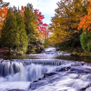 fall trees over cascading river