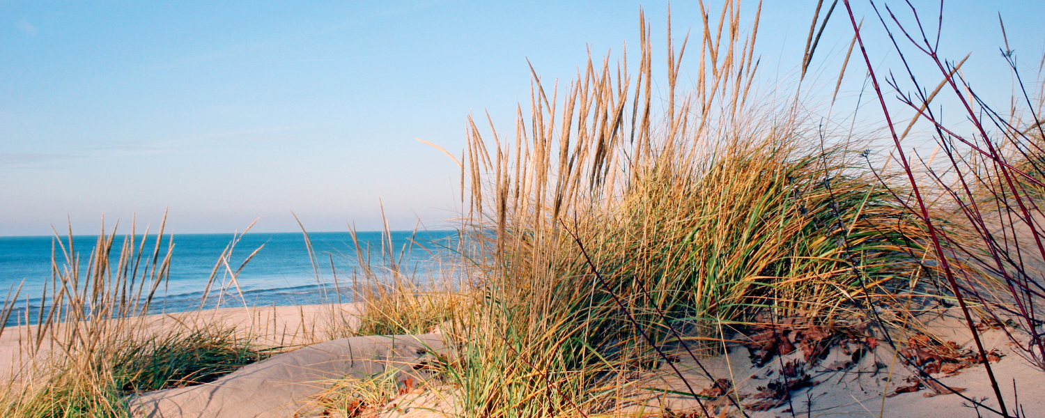 Lake Michigan shore