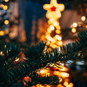 christmas trees with lights