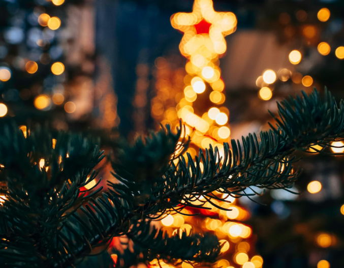 christmas trees with lights