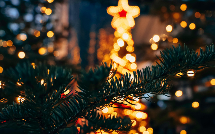 christmas trees with lights