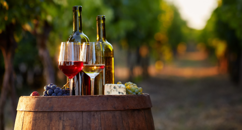 wine glasses and bottle on a barrel in a vineyard