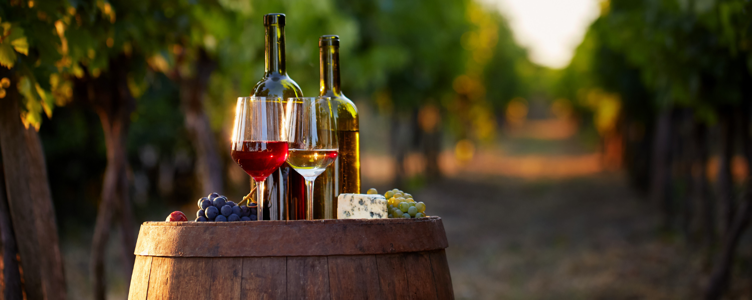 wine glasses and bottle on a barrel in a vineyard