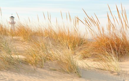 A close up of dune grass on a sand dune with a light house in the background.