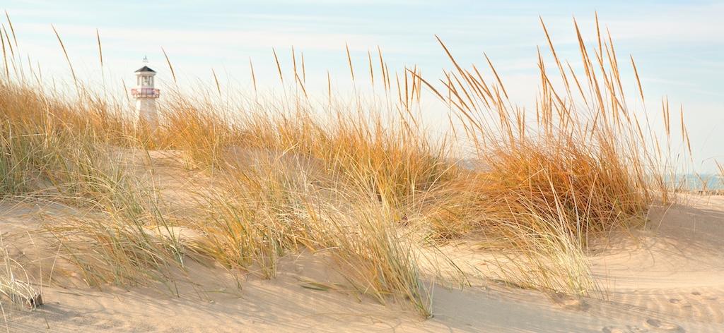 A close up of dune grass on a sand dune with a light house in the background.