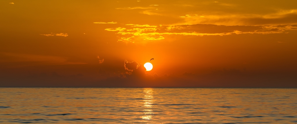 Union Pier Sunset