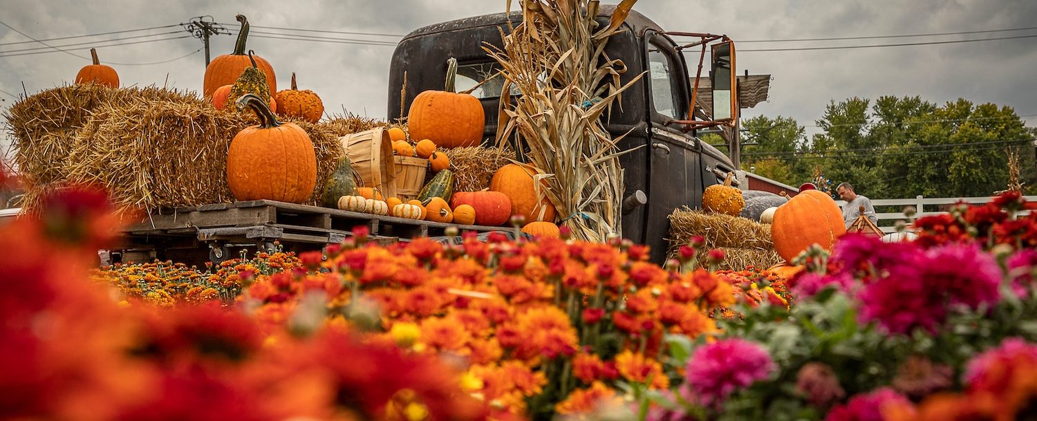 Antique truck decorated for fall festival.