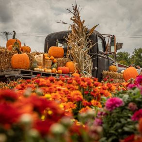 Antique truck decorated for fall festival.