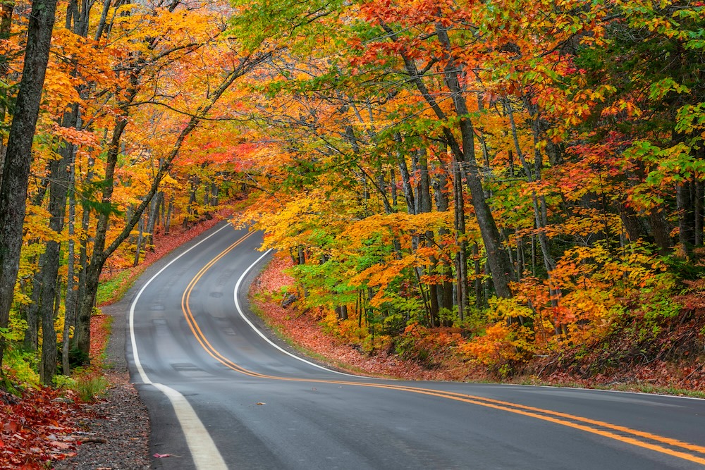 Tunnel of trees in autumn time along scenic byway M41 in Keweenaw peninsula in Michigan upper peninsula.