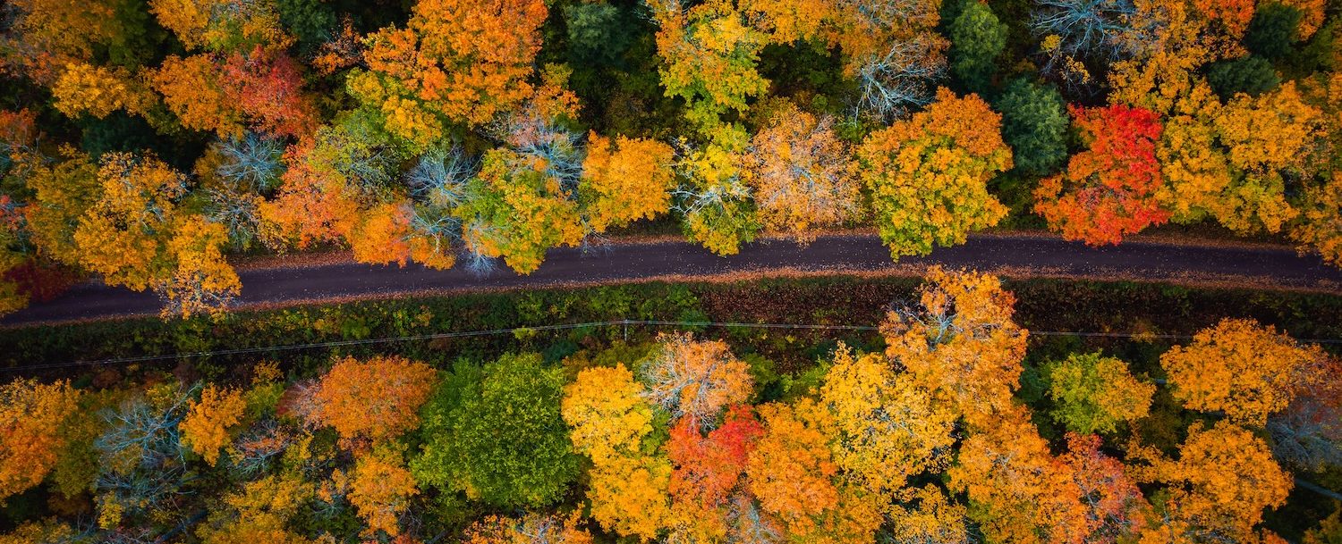 Beautiful look down photograph of a narrow paved road curving through the forest near the with gorgeous yellow, orange, red and green autumn foliage or leaves on the treetops below in Upper Michigan.