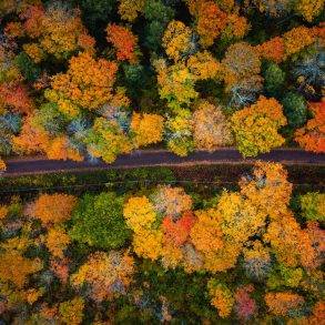 Beautiful look down photograph of a narrow paved road curving through the forest near the with gorgeous yellow, orange, red and green autumn foliage or leaves on the treetops below in Upper Michigan.